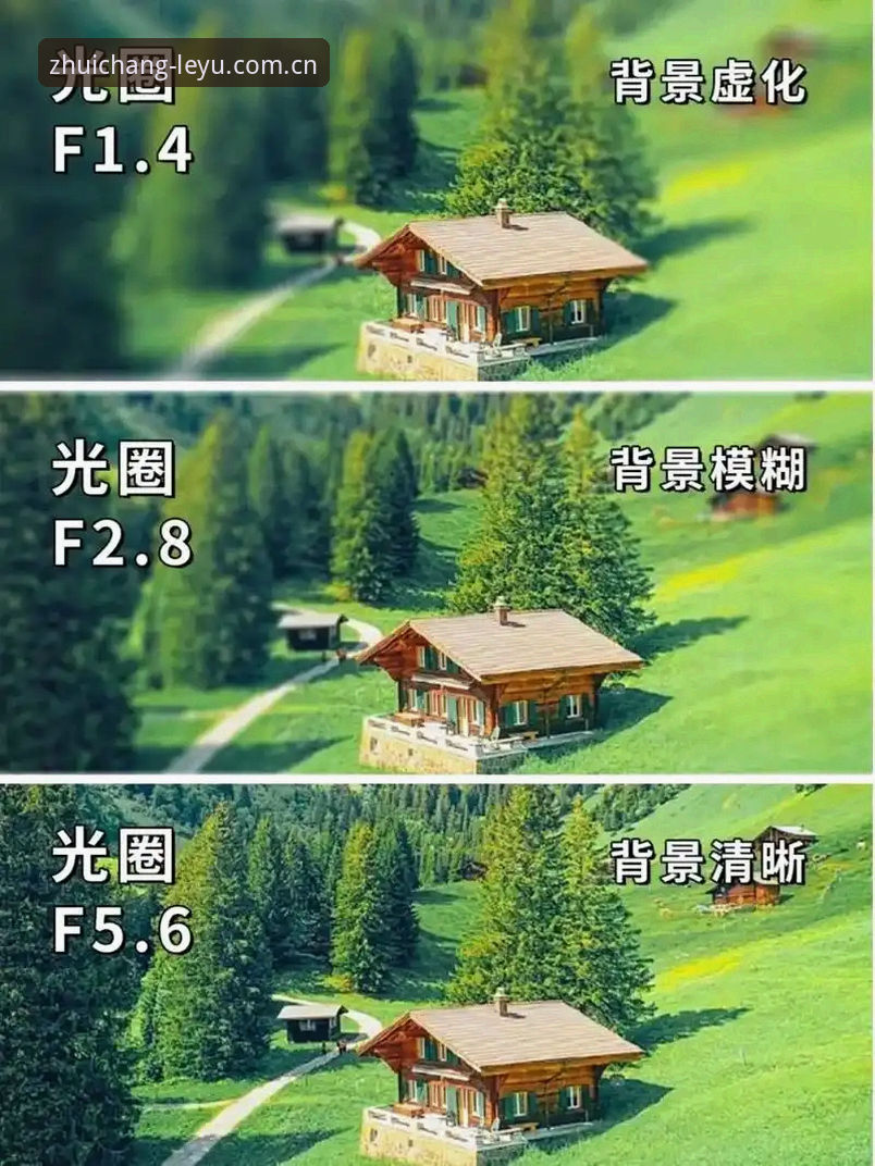 3个判断8个细节：身在坐标即主场V3网页入口功能详解